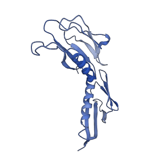 0964_6lss_I_v1-0
Cryo-EM structure of a pre-60S ribosomal subunit - state preA