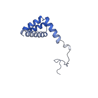 0964_6lss_K_v1-0
Cryo-EM structure of a pre-60S ribosomal subunit - state preA