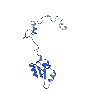 0964_6lss_L_v1-0
Cryo-EM structure of a pre-60S ribosomal subunit - state preA