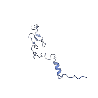 0964_6lss_M_v1-0
Cryo-EM structure of a pre-60S ribosomal subunit - state preA