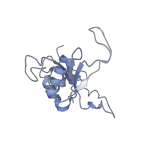 0964_6lss_N_v1-0
Cryo-EM structure of a pre-60S ribosomal subunit - state preA