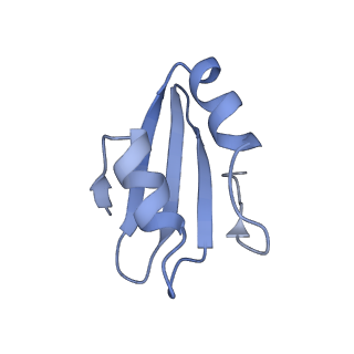 0964_6lss_O_v1-0
Cryo-EM structure of a pre-60S ribosomal subunit - state preA