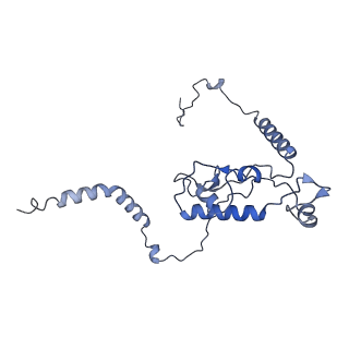 0964_6lss_Q_v1-0
Cryo-EM structure of a pre-60S ribosomal subunit - state preA