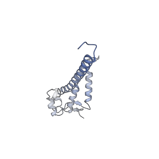 0964_6lss_R_v1-0
Cryo-EM structure of a pre-60S ribosomal subunit - state preA
