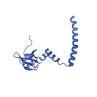 0964_6lss_S_v1-0
Cryo-EM structure of a pre-60S ribosomal subunit - state preA