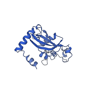 0964_6lss_U_v1-0
Cryo-EM structure of a pre-60S ribosomal subunit - state preA