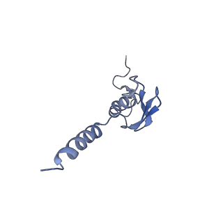 0964_6lss_X_v1-0
Cryo-EM structure of a pre-60S ribosomal subunit - state preA