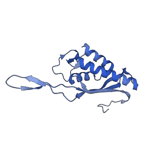 0964_6lss_Y_v1-0
Cryo-EM structure of a pre-60S ribosomal subunit - state preA