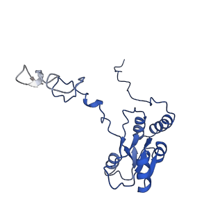 0964_6lss_Z_v1-0
Cryo-EM structure of a pre-60S ribosomal subunit - state preA