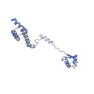 0964_6lss_a_v1-0
Cryo-EM structure of a pre-60S ribosomal subunit - state preA