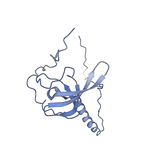 0964_6lss_c_v1-0
Cryo-EM structure of a pre-60S ribosomal subunit - state preA