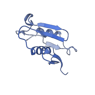 0964_6lss_d_v1-0
Cryo-EM structure of a pre-60S ribosomal subunit - state preA
