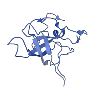 0964_6lss_e_v1-0
Cryo-EM structure of a pre-60S ribosomal subunit - state preA