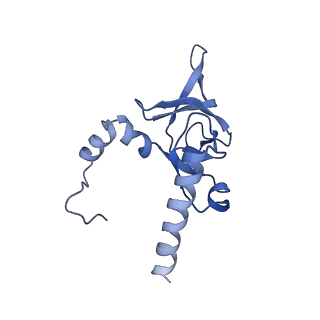 0964_6lss_h_v1-0
Cryo-EM structure of a pre-60S ribosomal subunit - state preA