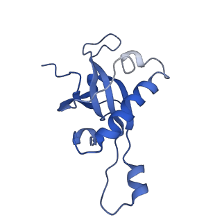 0964_6lss_i_v1-0
Cryo-EM structure of a pre-60S ribosomal subunit - state preA