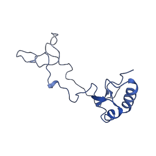 0964_6lss_k_v1-0
Cryo-EM structure of a pre-60S ribosomal subunit - state preA