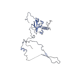 0964_6lss_o_v1-0
Cryo-EM structure of a pre-60S ribosomal subunit - state preA