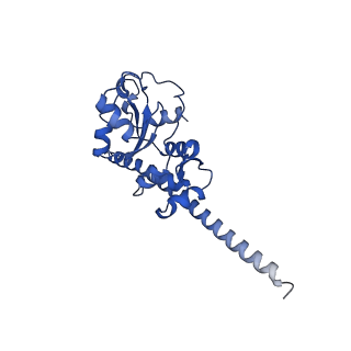 0964_6lss_p_v1-0
Cryo-EM structure of a pre-60S ribosomal subunit - state preA