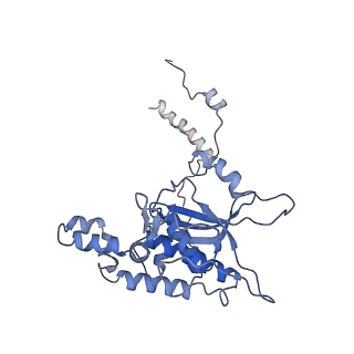 0964_6lss_r_v1-0
Cryo-EM structure of a pre-60S ribosomal subunit - state preA