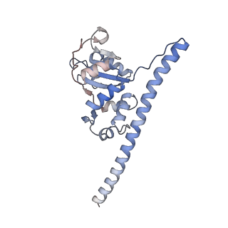 23500_7ls1_A1_v1-1
80S ribosome from mouse bound to eEF2 (Class II)