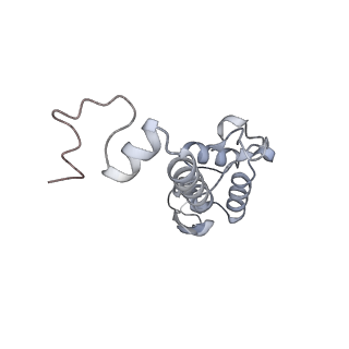 23500_7ls1_A3_v1-1
80S ribosome from mouse bound to eEF2 (Class II)