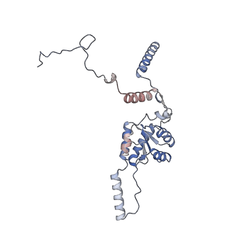 23500_7ls1_B1_v1-1
80S ribosome from mouse bound to eEF2 (Class II)