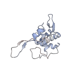 23500_7ls1_B3_v1-1
80S ribosome from mouse bound to eEF2 (Class II)