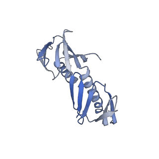 23500_7ls1_C1_v1-1
80S ribosome from mouse bound to eEF2 (Class II)