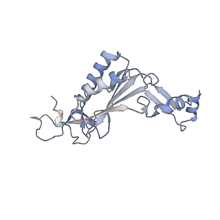 23500_7ls1_D1_v1-1
80S ribosome from mouse bound to eEF2 (Class II)