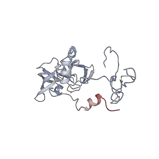 23500_7ls1_D2_v1-1
80S ribosome from mouse bound to eEF2 (Class II)