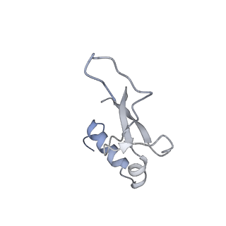 23500_7ls1_D3_v1-1
80S ribosome from mouse bound to eEF2 (Class II)