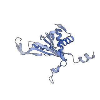 23500_7ls1_E1_v1-1
80S ribosome from mouse bound to eEF2 (Class II)