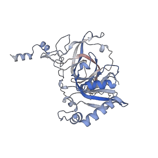 23500_7ls1_E2_v1-1
80S ribosome from mouse bound to eEF2 (Class II)