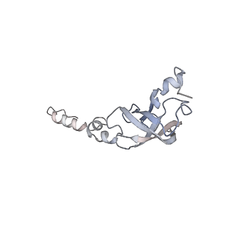 23500_7ls1_E3_v1-1
80S ribosome from mouse bound to eEF2 (Class II)