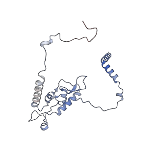 23500_7ls1_F1_v1-1
80S ribosome from mouse bound to eEF2 (Class II)