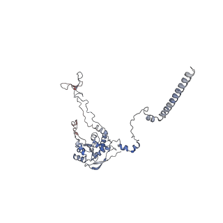 23500_7ls1_F2_v1-1
80S ribosome from mouse bound to eEF2 (Class II)