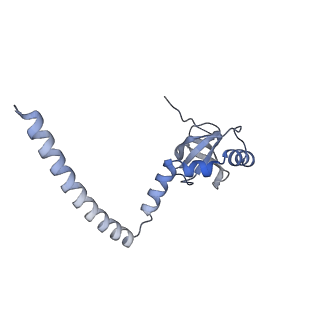 23500_7ls1_G1_v1-1
80S ribosome from mouse bound to eEF2 (Class II)