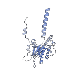 23500_7ls1_G2_v1-1
80S ribosome from mouse bound to eEF2 (Class II)
