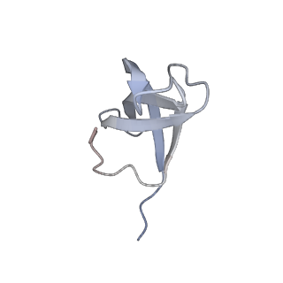 23500_7ls1_G3_v1-1
80S ribosome from mouse bound to eEF2 (Class II)