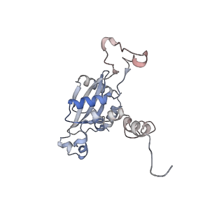 23500_7ls1_H1_v1-1
80S ribosome from mouse bound to eEF2 (Class II)