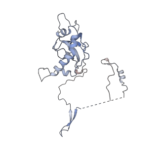 23500_7ls1_H2_v1-1
80S ribosome from mouse bound to eEF2 (Class II)