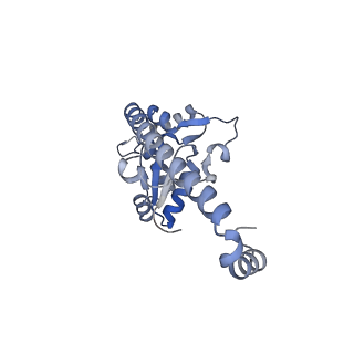 23500_7ls1_I2_v1-1
80S ribosome from mouse bound to eEF2 (Class II)