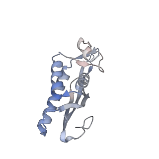 23500_7ls1_J2_v1-1
80S ribosome from mouse bound to eEF2 (Class II)