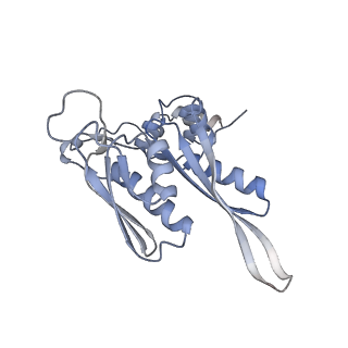 23500_7ls1_J3_v1-1
80S ribosome from mouse bound to eEF2 (Class II)