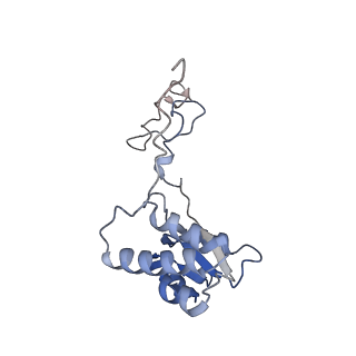 23500_7ls1_K2_v1-1
80S ribosome from mouse bound to eEF2 (Class II)