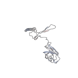 23500_7ls1_K3_v1-1
80S ribosome from mouse bound to eEF2 (Class II)