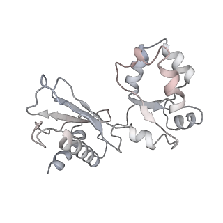 23500_7ls1_L1_v1-1
80S ribosome from mouse bound to eEF2 (Class II)