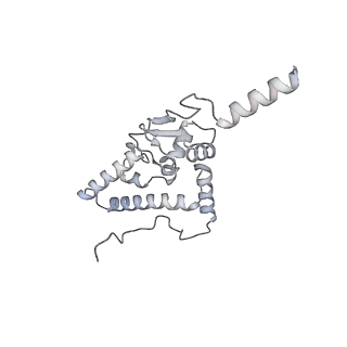 23500_7ls1_L3_v1-1
80S ribosome from mouse bound to eEF2 (Class II)