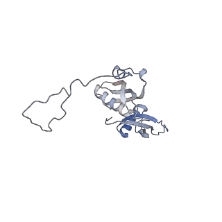 23500_7ls1_M2_v1-1
80S ribosome from mouse bound to eEF2 (Class II)