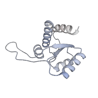 23500_7ls1_M3_v1-1
80S ribosome from mouse bound to eEF2 (Class II)